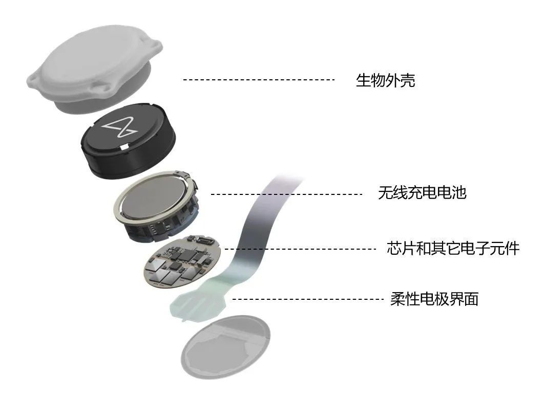 Neuralink 脑机接口爆炸图